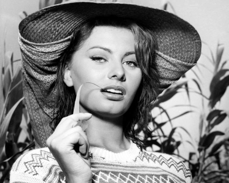 Sophia Loren Wallpapers @ go4celebrity.com