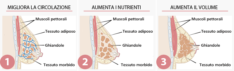 ClioMakeUp-senomax-opinioni-crema-seno-miracolosa-bufala-8