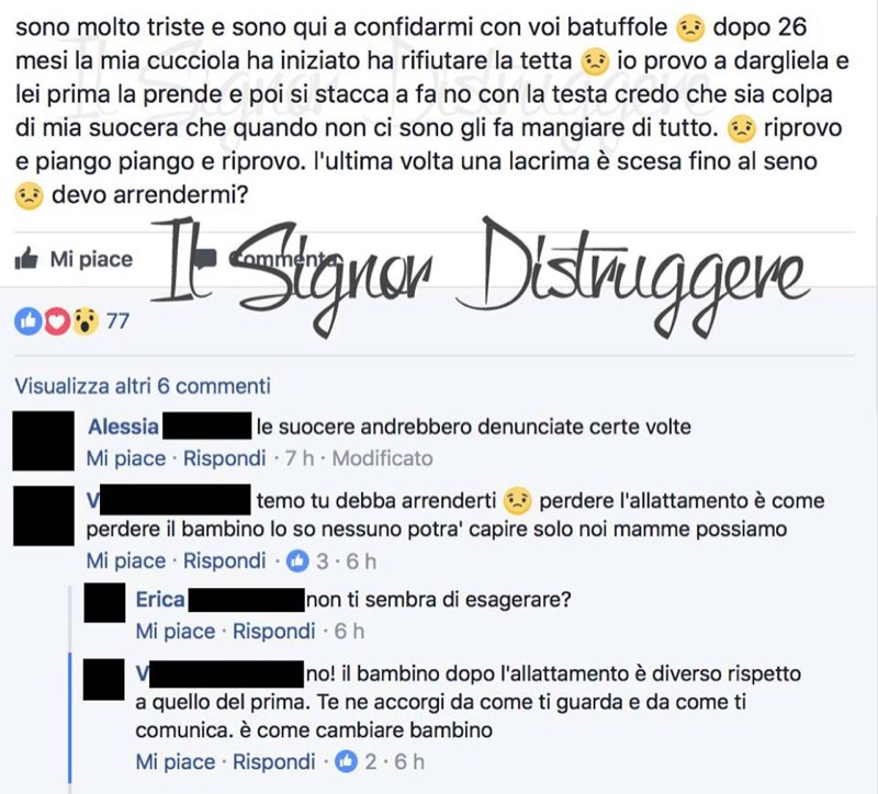 ClioMakeUp-signor-distruggere-mamme-pancine-facebook-gruppi-maternita-mestruazioni-post-6