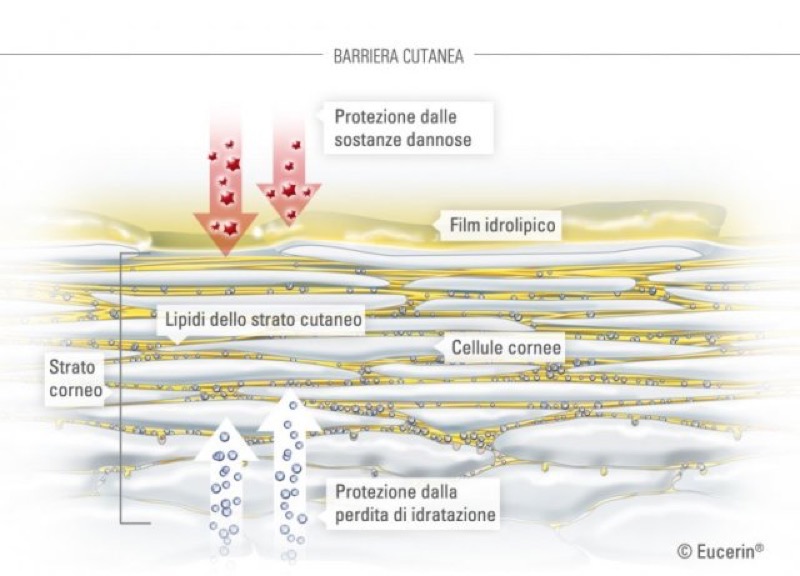 cliomakeup-prodotti-anti-pollution-10-barriera-cutanea