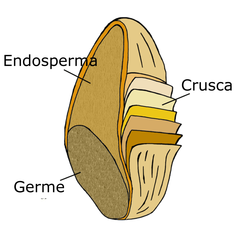 cliomakeup-carboidrati-cereali-integrali-chicco-19