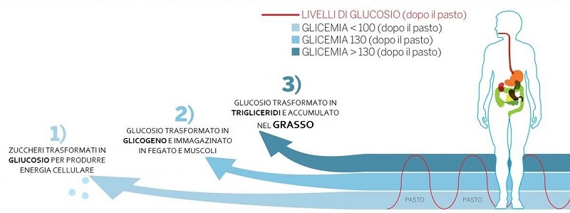 cliomakeup-4-veleni-bianchi-zucchero-glicemia-6