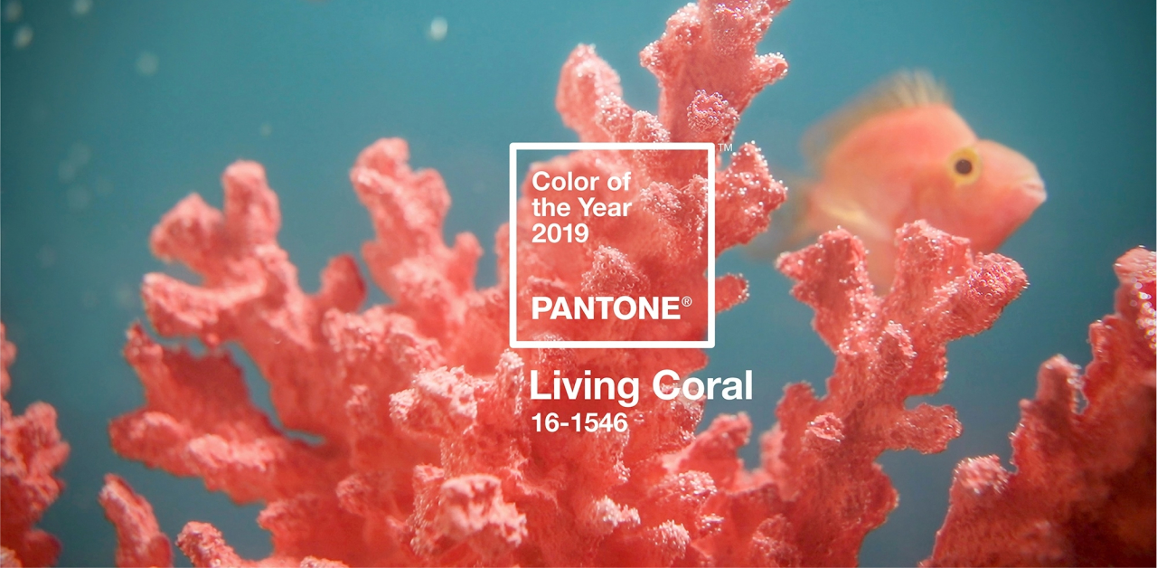 cliomakeup-colore-pantone-2019-living-coral