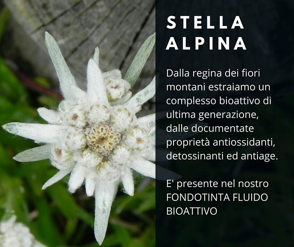 cliomakeup-come-applicare-fondotinta-bio-3-stella-alpina