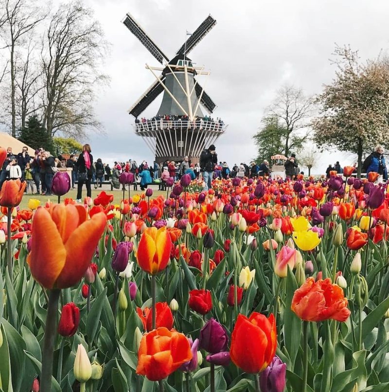 cliomakeup-viaggi-instagrammabili-keukenhof-2