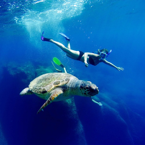 isole greche più belle: Zante è l'isola su cui le tartarughe Caretta Caretta vanno a depositare le uova