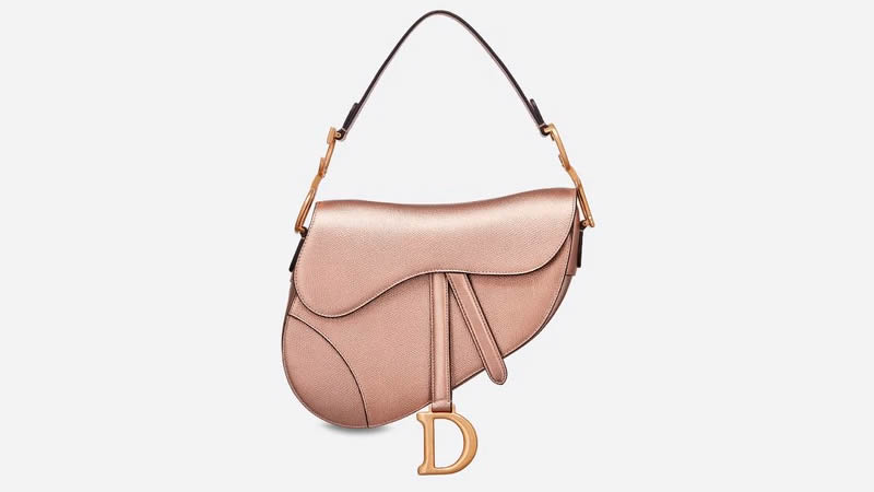 cliomakeup-borse-dior-12-saddle-rosa