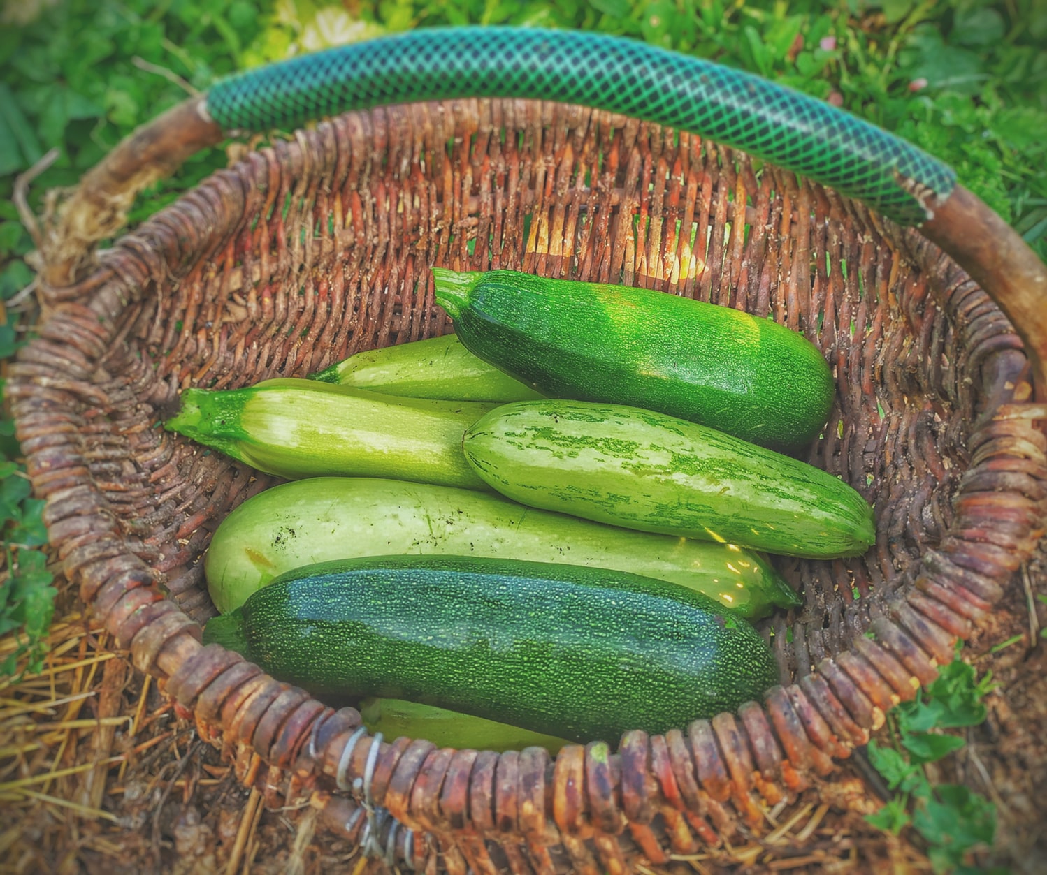 cliomakeup-ricette-veloci-4-zucchine