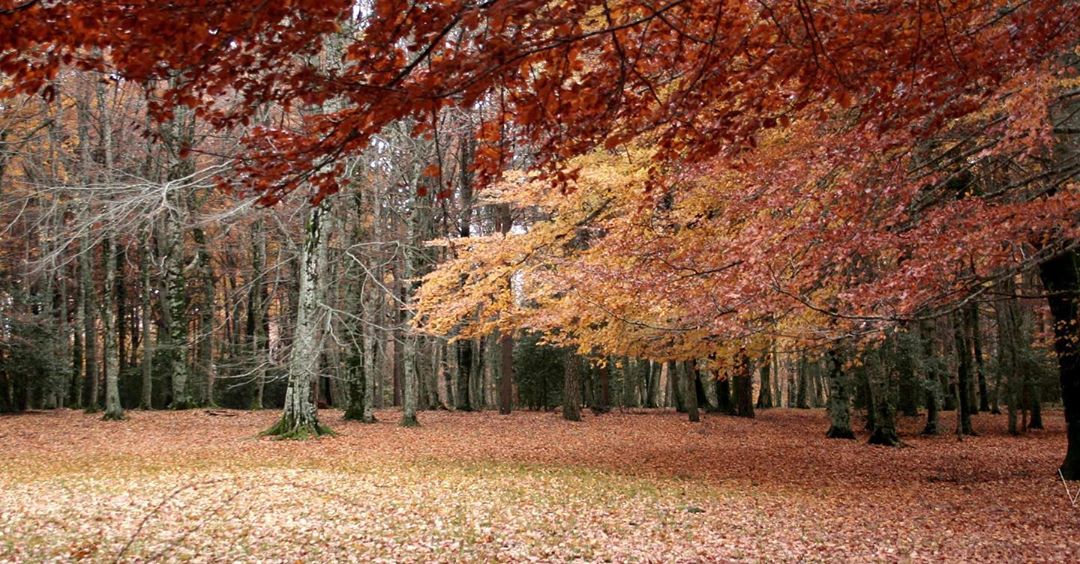 cliomakeup-viaggi-italia-autunno-14-gargano