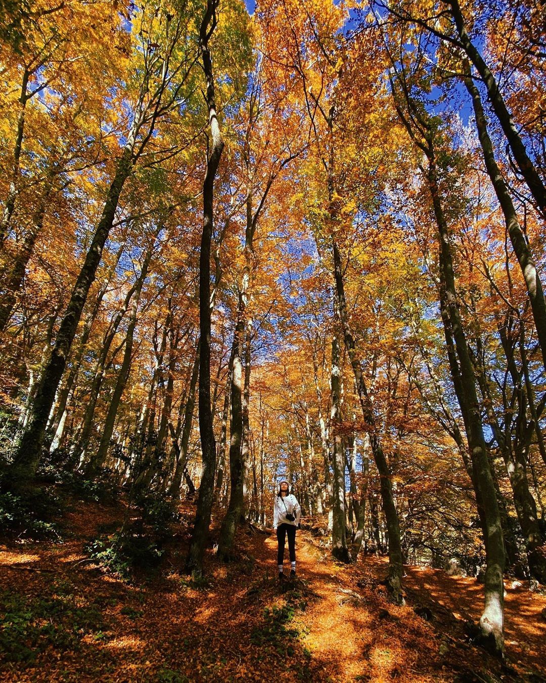 Viaggi D'autunno In Italia: Alla Scoperta Del Foliage Nazionale