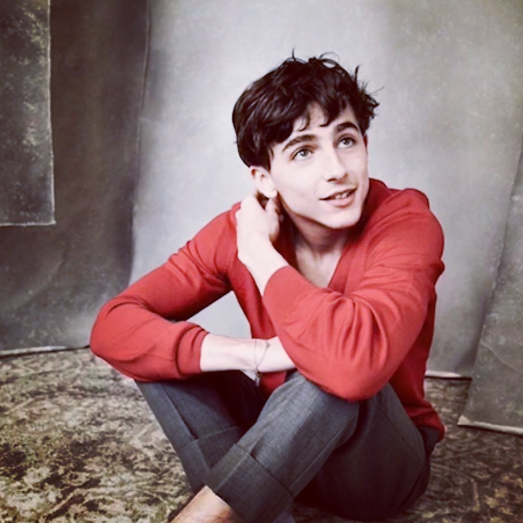 Cliomakeup-Chi-è-Timothée-Chalamet-12