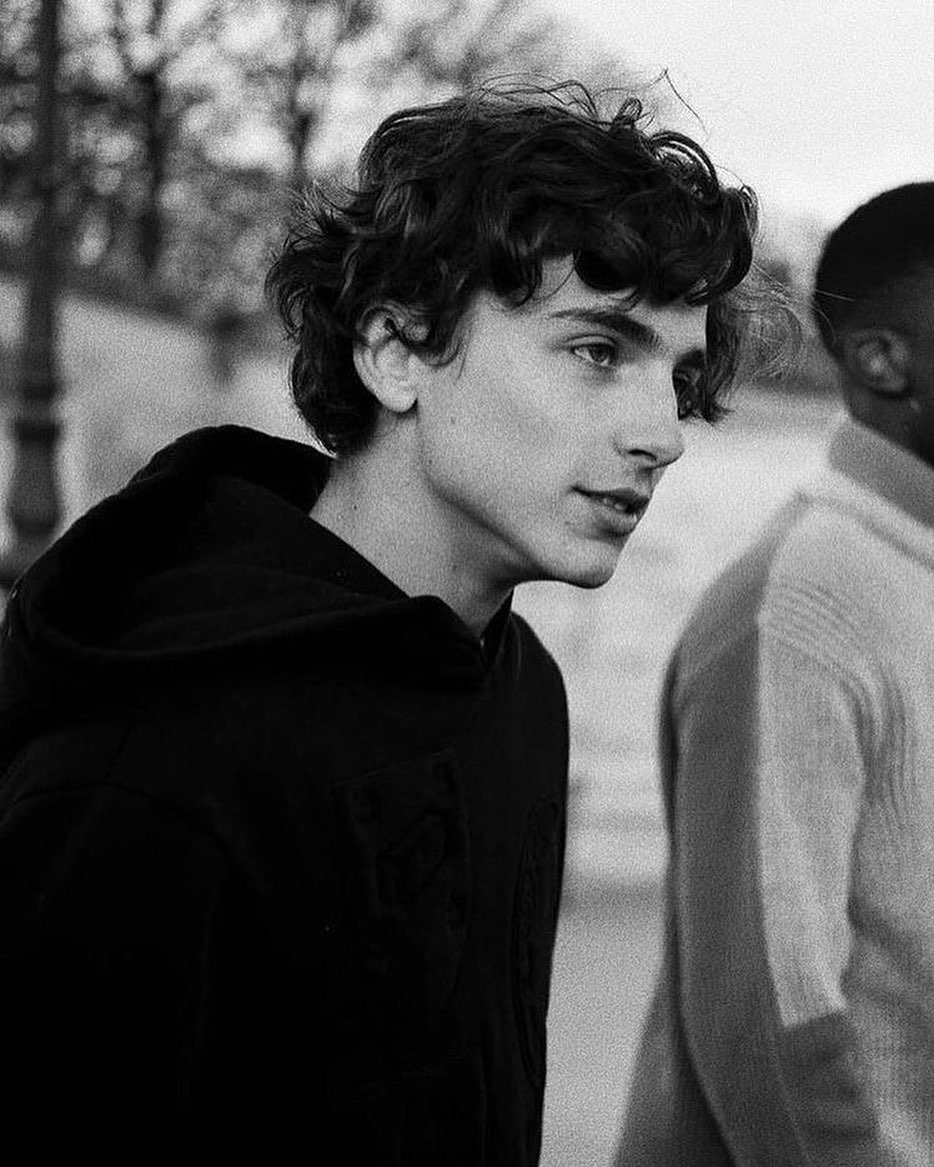 Cliomakeup-Chi-è-Timothée-Chalamet-14