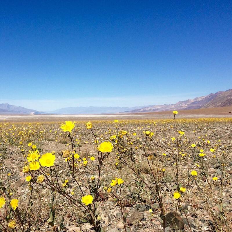 cliomakeup-viaggi-2022-death-valley