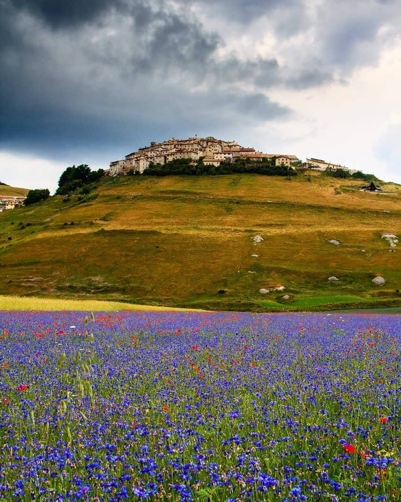 cliomakeup-borghi-visitare-primavera-castelluccio-norcia-fiori