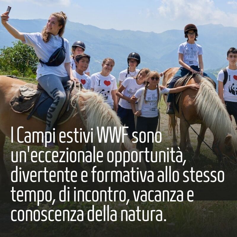 cliomakeup-centri-estivi-estate-2022-wwf-travel