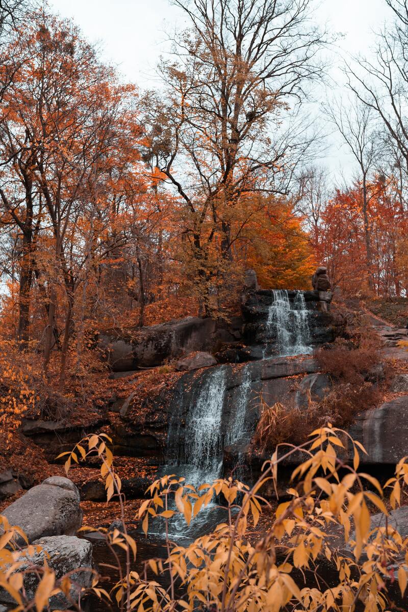 cliomakeup-foliage-autunnale-foglie