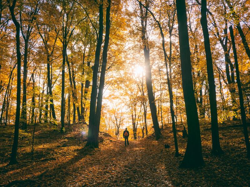 cliomakeup-foliage-autunnale-stress