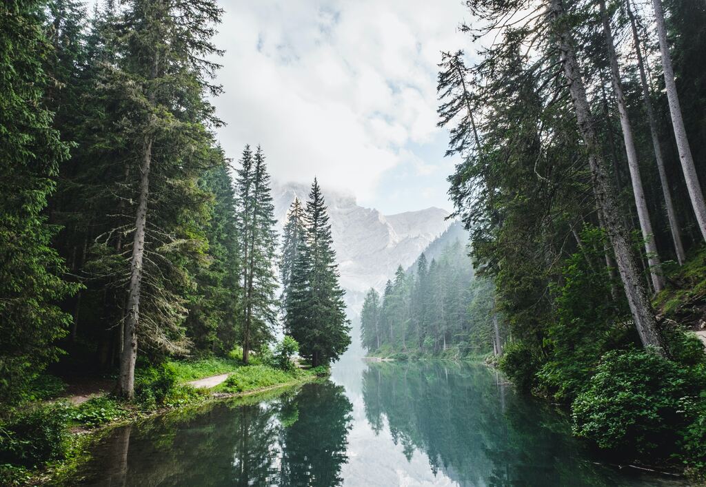 cliomakeup-forest-bathing