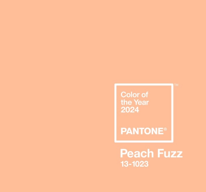 cliomakeup-colore-pantone-2024-peach-fuzz-4