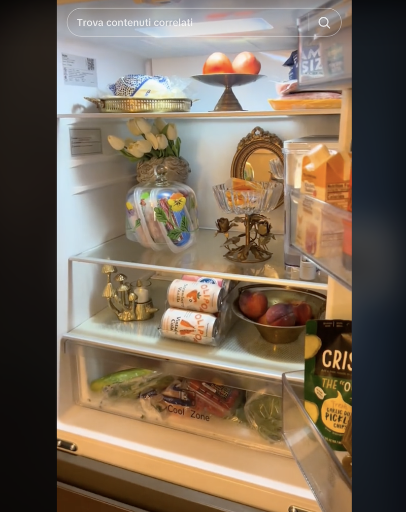 fridgescaping-bridgerton